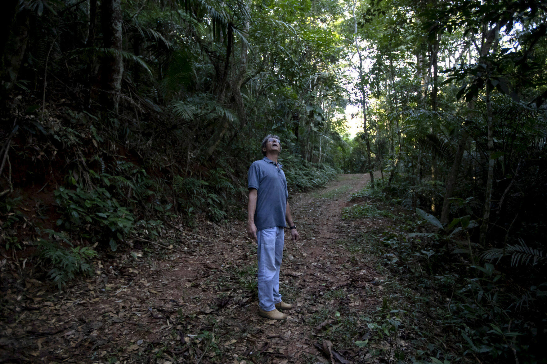 Brazil Golden Monkey Vaccination